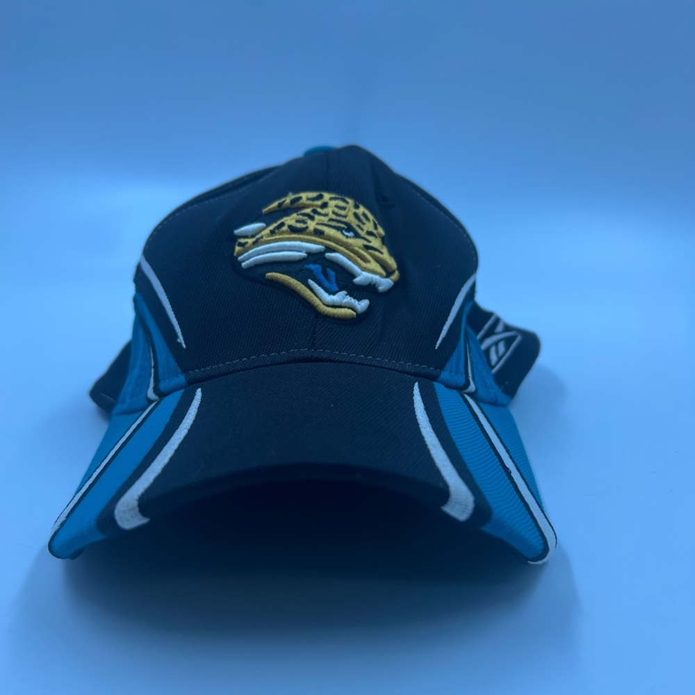 Vintage NFL Carolina Panthers Team Hat O/s